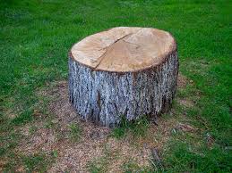 Best Hazardous Tree Removal  in Lindenhurst, NY