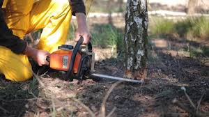 Best Lawn Irrigation Installation and Maintenance  in Lindenhurst, NY