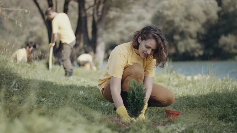 Best Lawn Mowing  in Lindenhurst, NY
